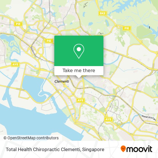 Total Health Chiropractic Clementi地图