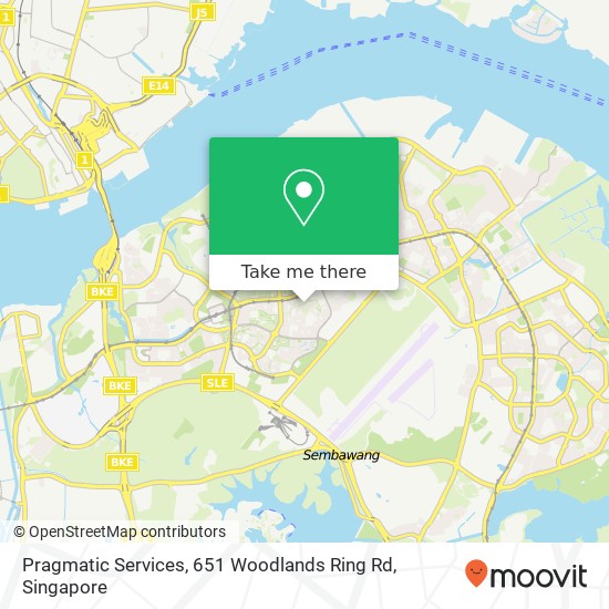 Pragmatic Services, 651 Woodlands Ring Rd地图