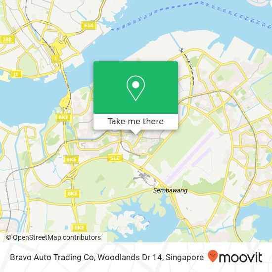 Bravo Auto Trading Co, Woodlands Dr 14地图