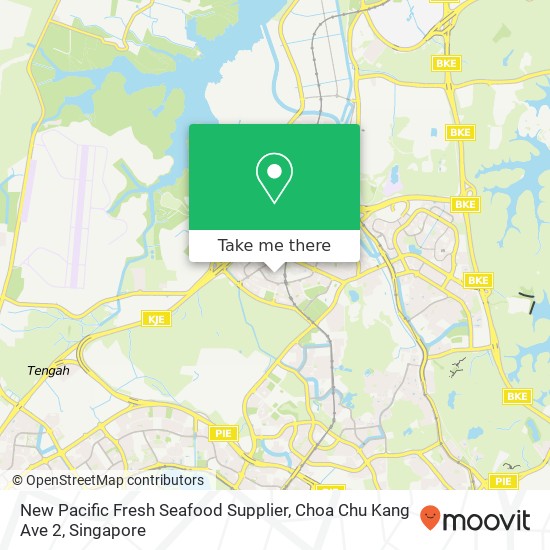 New Pacific Fresh Seafood Supplier, Choa Chu Kang Ave 2 map