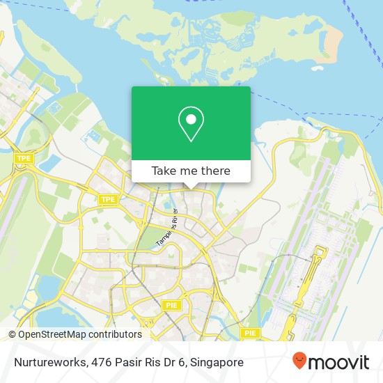 Nurtureworks, 476 Pasir Ris Dr 6 map