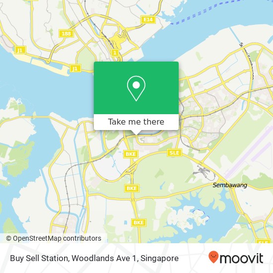 Buy Sell Station, Woodlands Ave 1地图