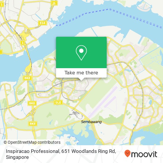 Inspiracao Professional, 651 Woodlands Ring Rd地图