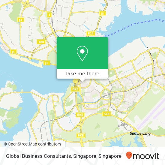 Global Business Consultants, Singapore map