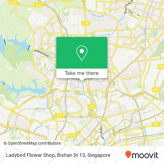 Ladybird Flower Shop, Bishan St 13地图