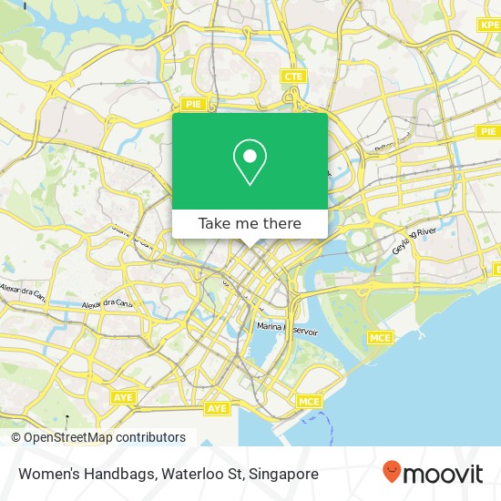 Women's Handbags, Waterloo St地图