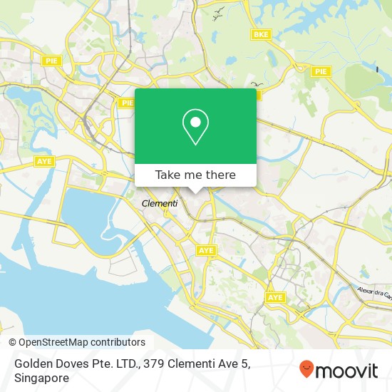 Golden Doves Pte. LTD., 379 Clementi Ave 5 map