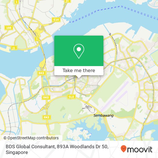 BDS Global Consultant, 893A Woodlands Dr 50地图