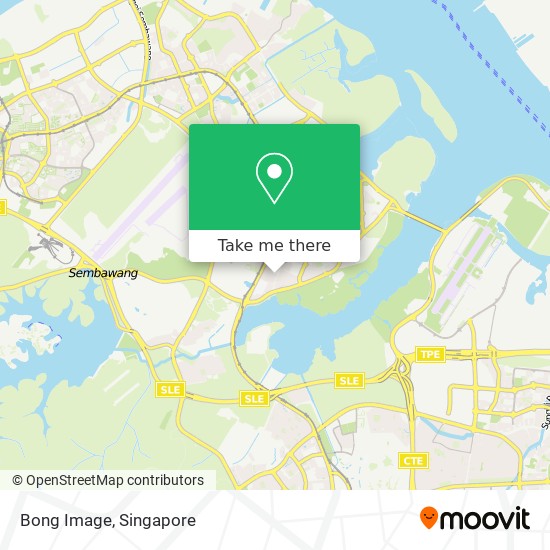 Bong Image地图
