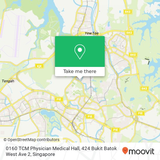 0160 TCM Physician Medical Hall, 424 Bukit Batok West Ave 2地图