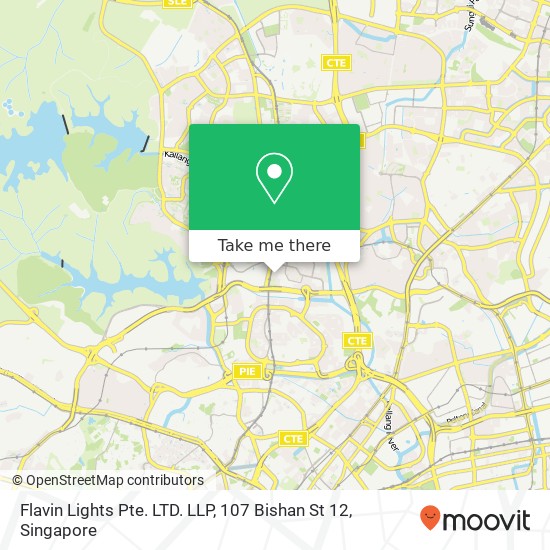 Flavin Lights Pte. LTD. LLP, 107 Bishan St 12地图