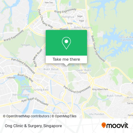 Ong Clinic & Surgery map