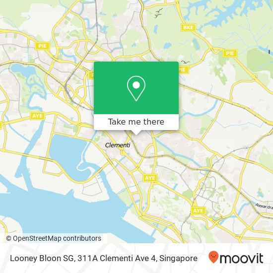 Looney Bloon SG, 311A Clementi Ave 4 map