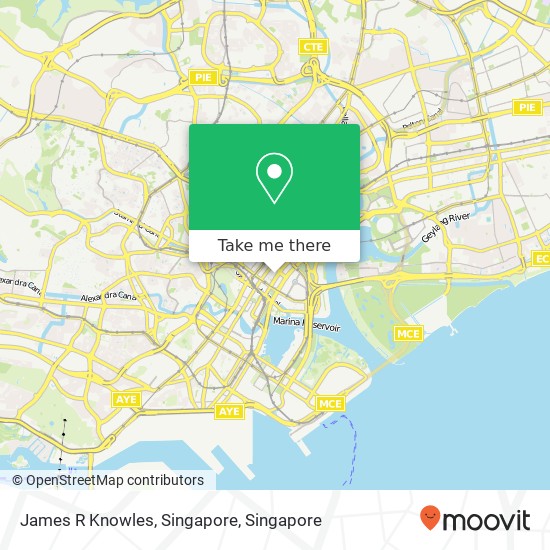 James R Knowles, Singapore map