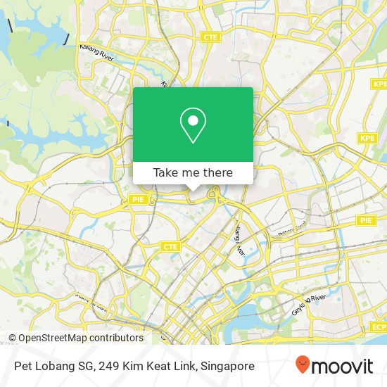 Pet Lobang SG, 249 Kim Keat Link map