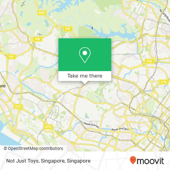 Not Just Toys, Singapore map