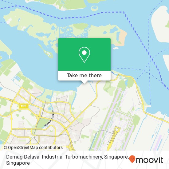 Demag Delaval Industrial Turbomachinery, Singapore map