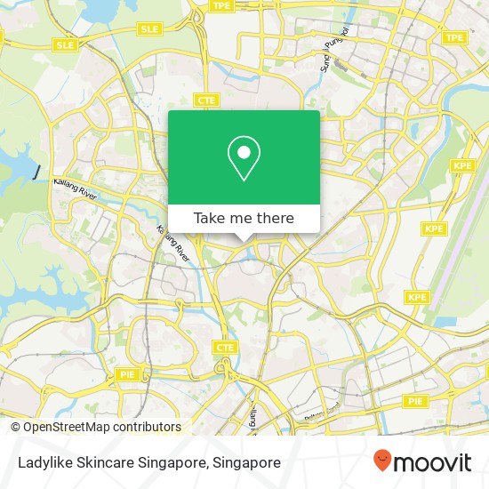 Ladylike Skincare Singapore map