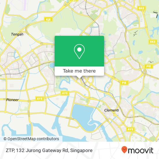 ZTP, 132 Jurong Gateway Rd地图