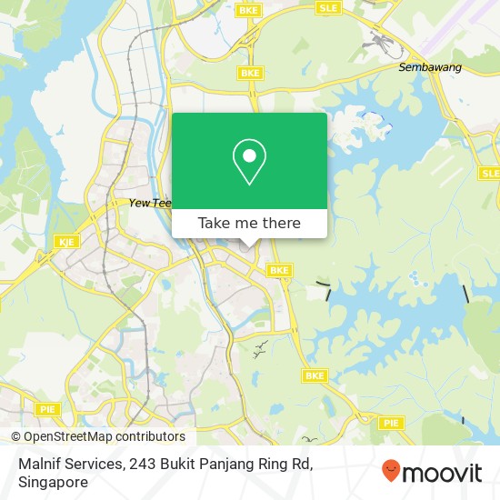 Malnif Services, 243 Bukit Panjang Ring Rd地图