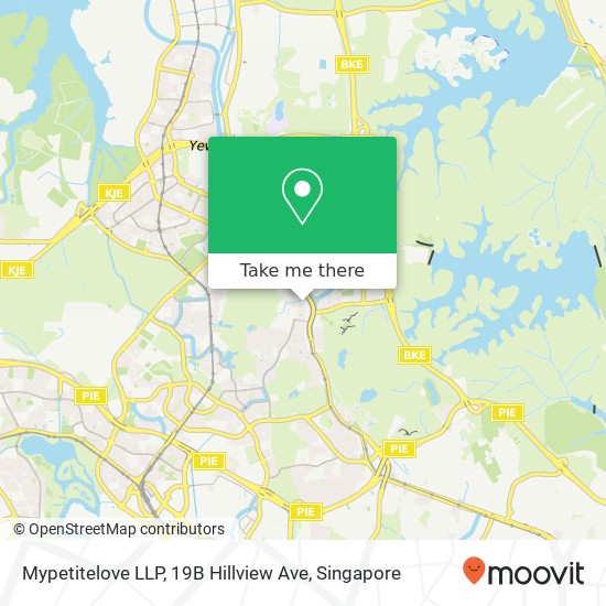 Mypetitelove LLP, 19B Hillview Ave地图