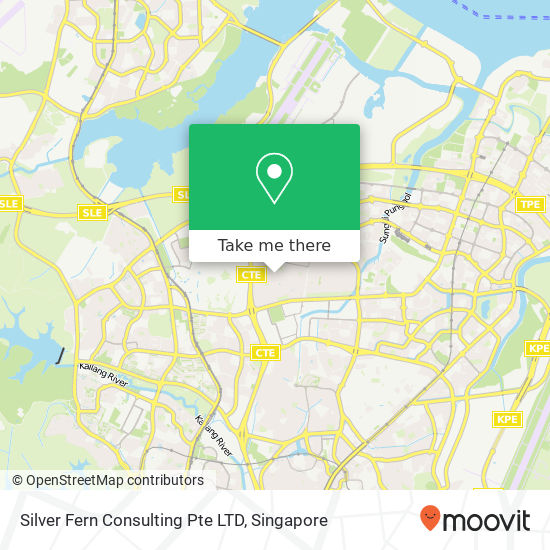 Silver Fern Consulting Pte LTD map