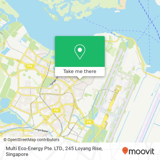 Multi Eco-Energy Pte. LTD., 245 Loyang Rise地图