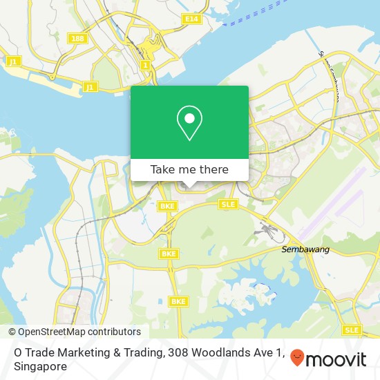 O Trade Marketing & Trading, 308 Woodlands Ave 1 map