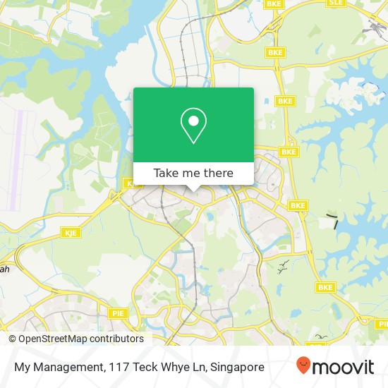 My Management, 117 Teck Whye Ln地图