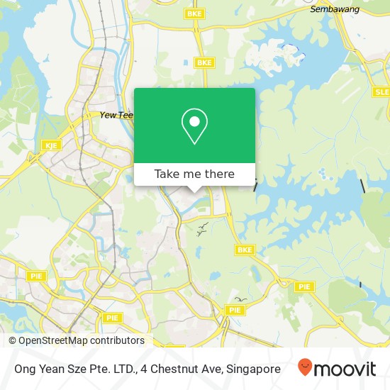 Ong Yean Sze Pte. LTD., 4 Chestnut Ave map