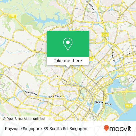 Phyzique Singapore, 39 Scotts Rd地图