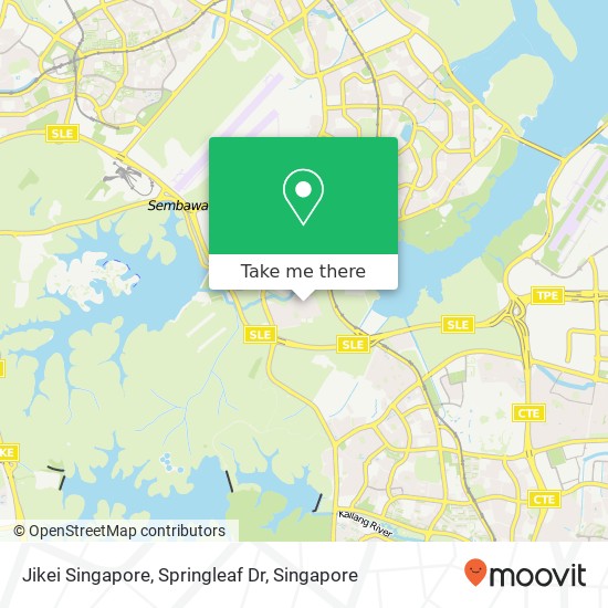 Jikei Singapore, Springleaf Dr地图