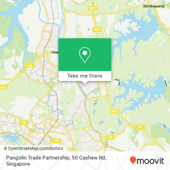 Pangolin Trade Partnership, 50 Cashew Rd地图