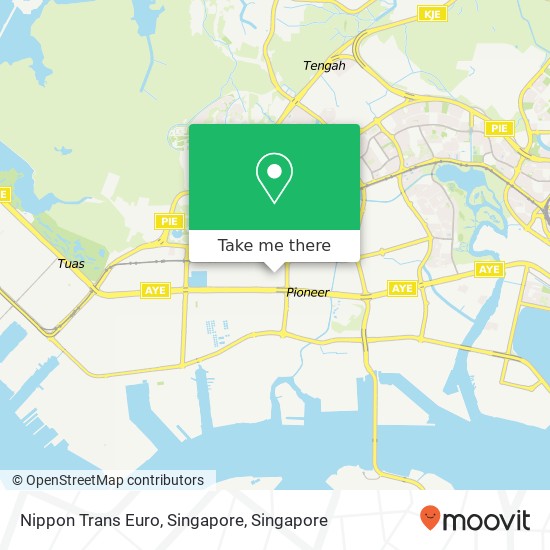 Nippon Trans Euro, Singapore map