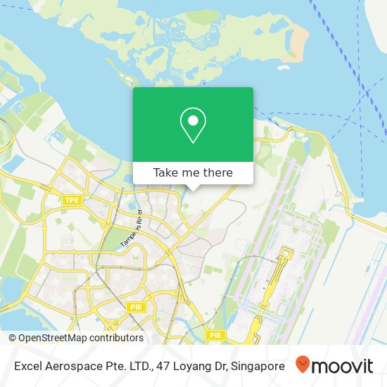 Excel Aerospace Pte. LTD., 47 Loyang Dr map