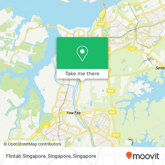 Flintab Singapore, Singapore map