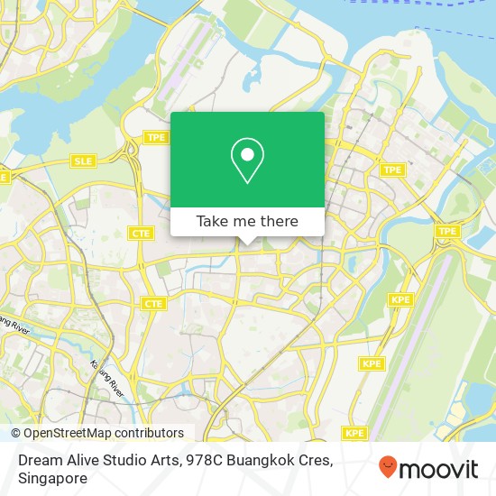 Dream Alive Studio Arts, 978C Buangkok Cres地图