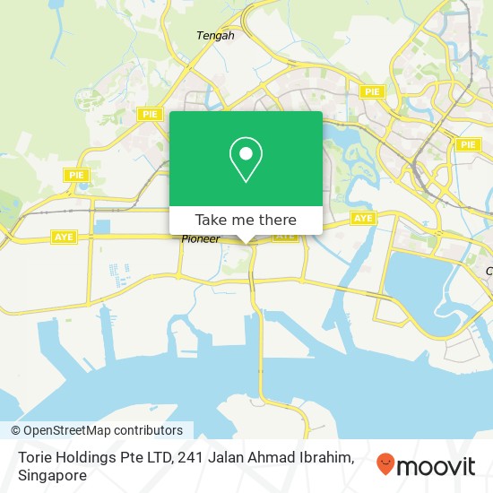 Torie Holdings Pte LTD, 241 Jalan Ahmad Ibrahim map