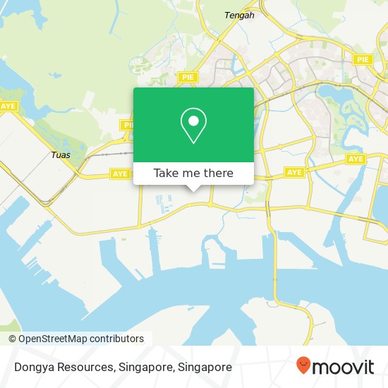 Dongya Resources, Singapore map