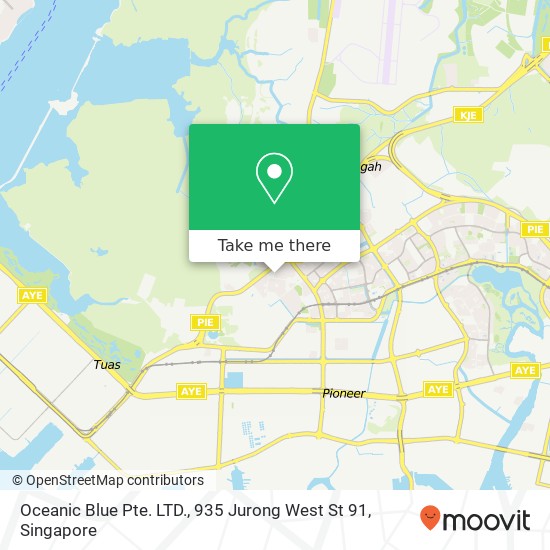 Oceanic Blue Pte. LTD., 935 Jurong West St 91 map