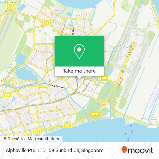 Alphaville Pte. LTD., 59 Sunbird Cir map