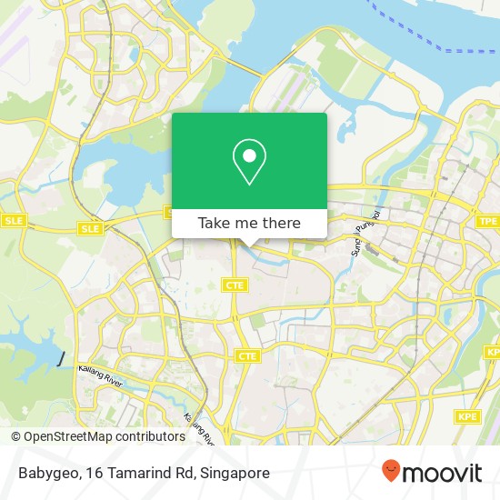 Babygeo, 16 Tamarind Rd map