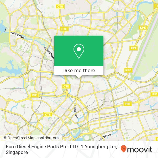 Euro Diesel Engine Parts Pte. LTD., 1 Youngberg Ter地图