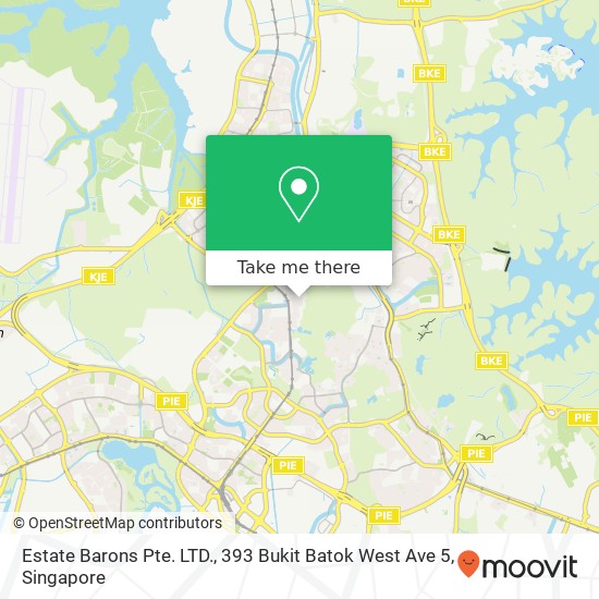 Estate Barons Pte. LTD., 393 Bukit Batok West Ave 5地图