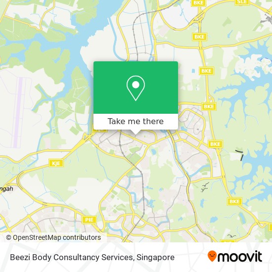 Beezi Body Consultancy Services map