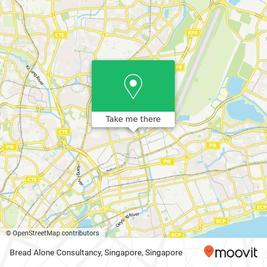 Bread Alone Consultancy, Singapore map
