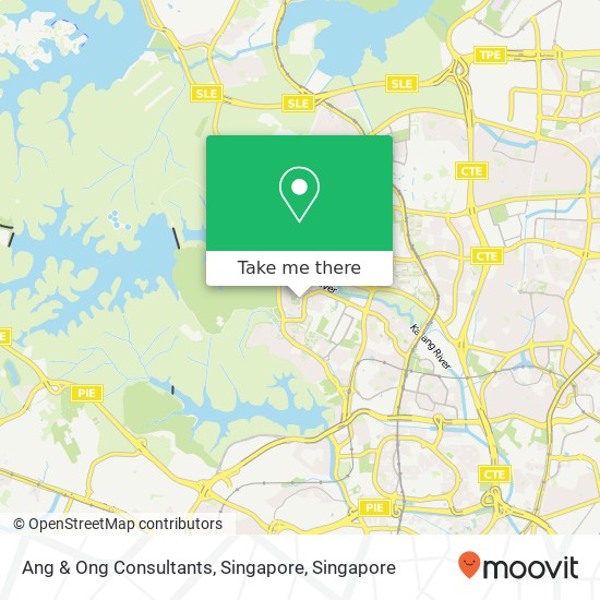 Ang & Ong Consultants, Singapore map