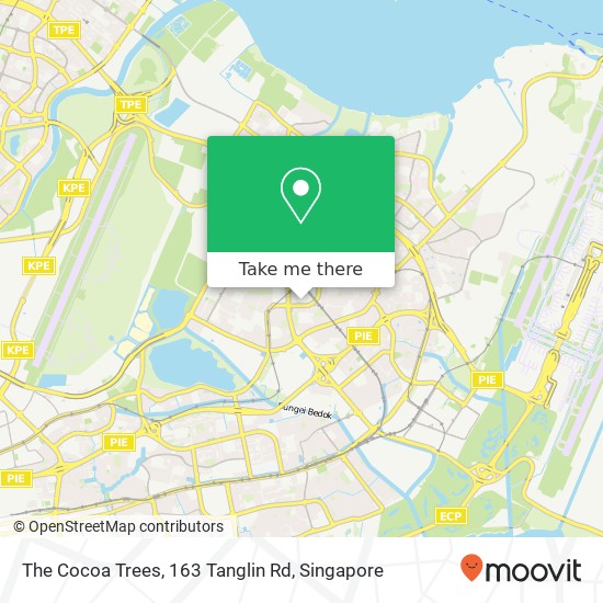 The Cocoa Trees, 163 Tanglin Rd地图