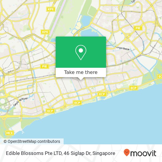 Edible Blossoms Pte LTD, 46 Siglap Dr地图