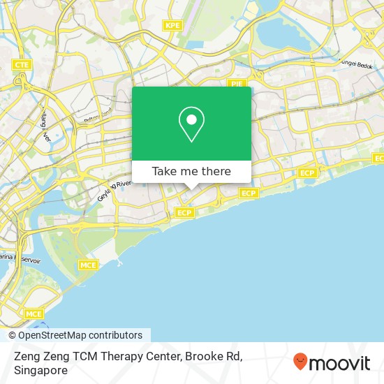 Zeng Zeng TCM Therapy Center, Brooke Rd地图